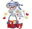 daisy