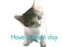 Have a great day