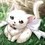 White Kitten