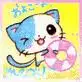 cute kitty