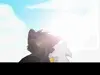 Warrior Cats