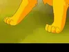 Warrior Cats