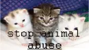 stop animal abuse!