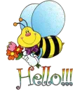 Bumble Bee Hello