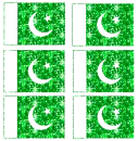 Pakistan flag