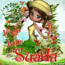 Suada