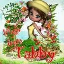 Tabby