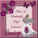 Have A Wonderful Day - Daisy