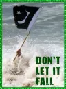 Pakistan flag