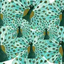 Peacock Background