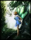 fairy and little dragon