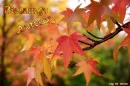 Autumn blessings