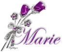 Purple Roses - Marie