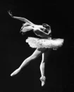 Ballet Dancer