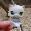 LPS cat avatar