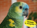 Felicidades