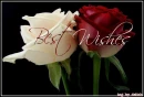 Best wishes