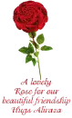 Aliraza