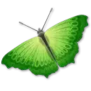 Green Butterfly