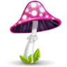 pink mushroom