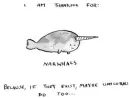 Narwhals