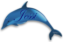 Dolphin  - Jessi