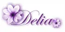 Purple flower - Delia