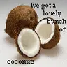 Coconuts