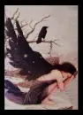 angel with black wings
