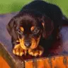 aww so cute <3