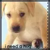 i need a hug