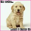 i'm cute and i know it 
