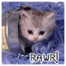 RAWRRR! 