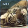 roarrr! 