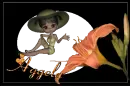 AGGELA