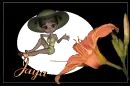 JAYA
