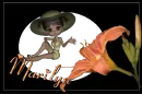 MARILYN