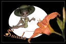SUADA
