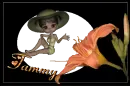 TAMMY
