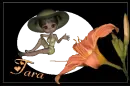 TARA