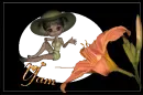 YAM