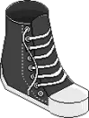 Converse Shoe