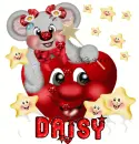 daisy