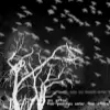 Ghostly Tree