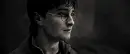 harry potter gonna die