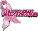 I support breast cancer awarness