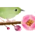 Bird On Branch