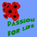 Poppies