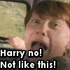 Ron and Harry