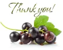Thank you!